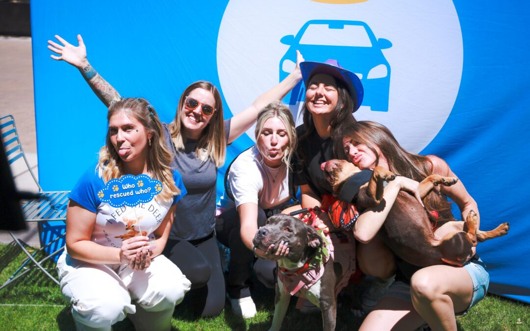 Carvana Celebrates National Adopt a Shelter Pet Day with Company-Wide ‘Adopt Don’t Shop’ Initiative